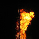 994995.jpg