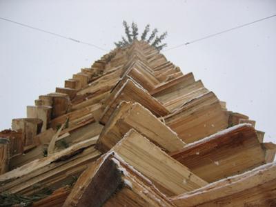 995010.jpg