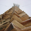 995010.jpg