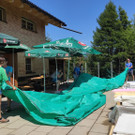 image _8_.jpg