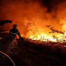 AFP_32ET2M3.jpg