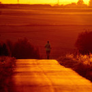 Germany_Heat_44032.jpg