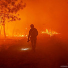 France_Wildfires_52963.jpg