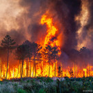 France_Wildfires_06630.jpg