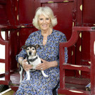 Britain_Camilla_Turns_75_80044.jpg
