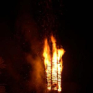 995604.jpg