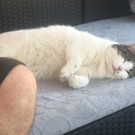 Mia