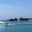 IMG_8494.jpg