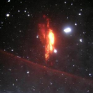 995761.jpg