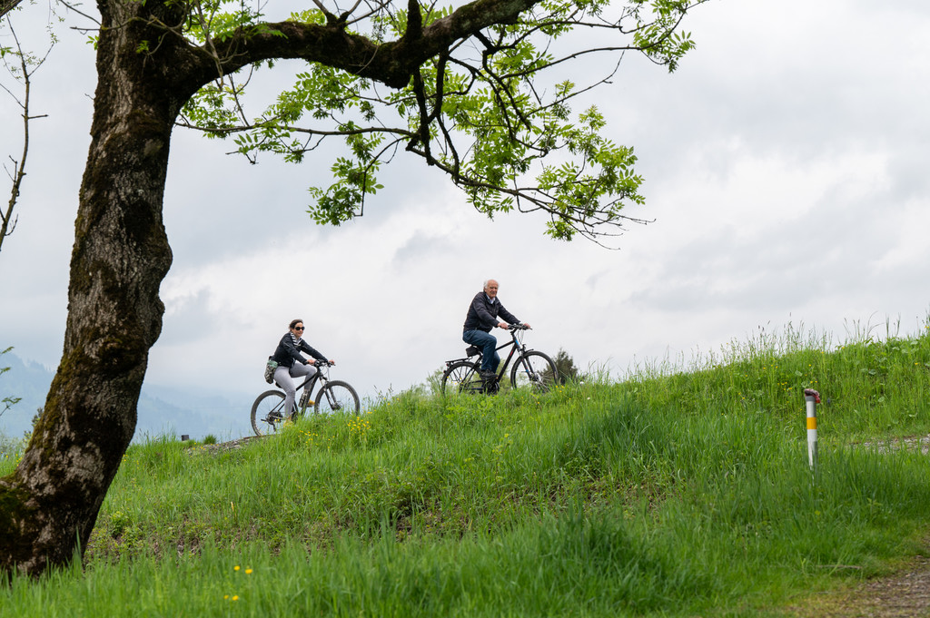 Autofreies Ried-18.JPG