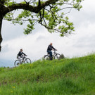 Autofreies Ried-18.JPG