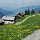 Bild 2n.jpg