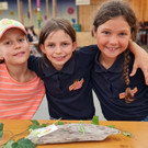 Musikverein DORFFEST Festfotos ALLGEMEIN 24-07-2022 _27_.jpg