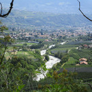 IMG_5690.JPG