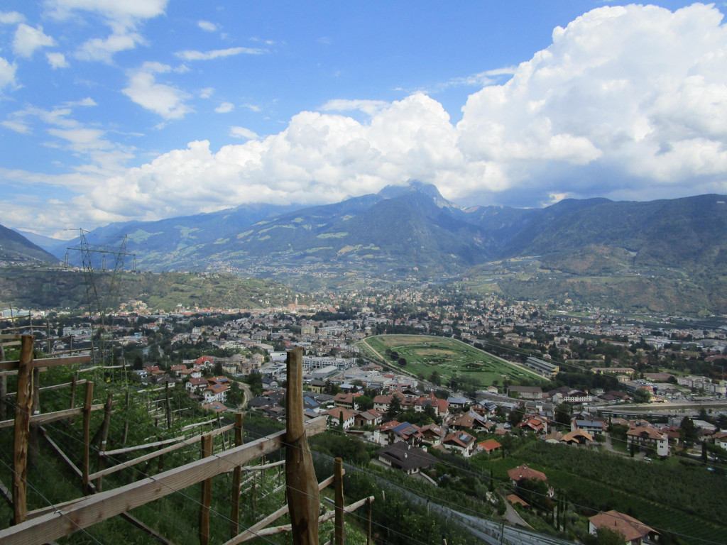 IMG_5742.JPG