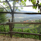 IMG_5768.JPG