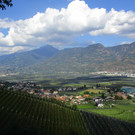 IMG_5798.JPG