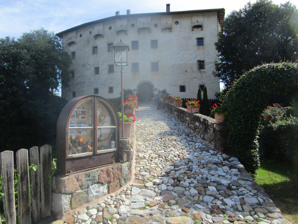 IMG_5865.JPG