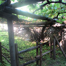 IMG_5866.JPG