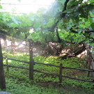 IMG_5871.JPG