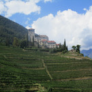 IMG_5778.JPG