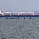 AFP_32FT479.jpg