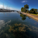 bodensee niedrigwasser _6_.jpg