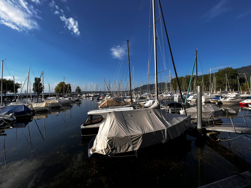 bodensee niedrigwasser _9_.jpg