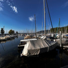bodensee niedrigwasser _9_.jpg