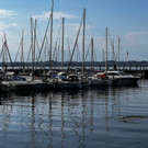 bodensee niedrigwasser _1_.jpg