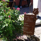 Blumenschmuckrundgang_2022_01.jpg