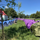 szene openair _9_.jpg