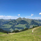 IMG_0430.jpg