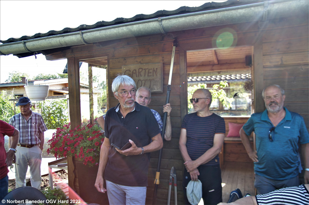 Sommerschnittkurs_2022_03.jpg