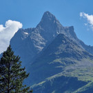 20220716_Patriol1 _2_.jpg