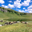 20220804_130154.jpg