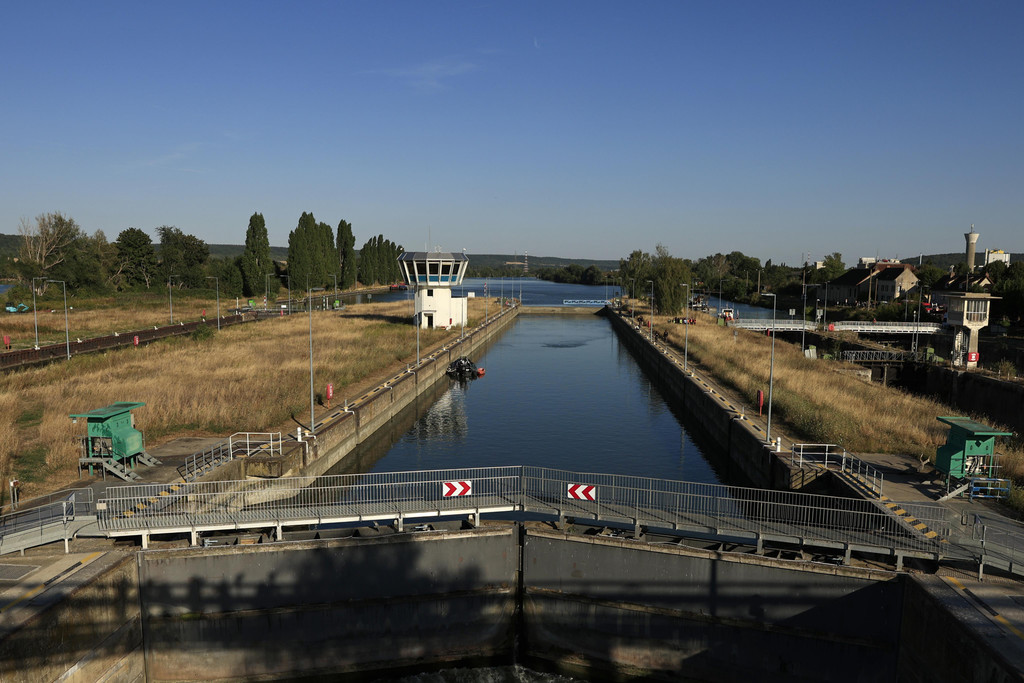 France_Whale_in_Seine_13387.jpg