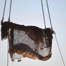 AFP_32GA9Y6.jpg