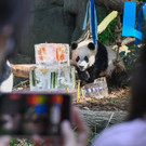 AFP_32GD9C3.jpg