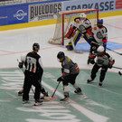 DSCI7804.JPG