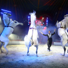 Louis Knie __Coypright Circus Louis Knie.jpg