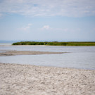 15082022 Historischer Tiefstwert des Neusiedler Sees