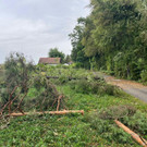 ABD0114-20220818.jpg
