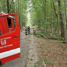 ABD0117-20220818.jpg