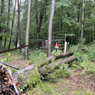 ABD0119-20220818.jpg