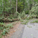 ABD0120-20220818.jpg