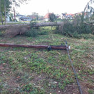 ABD0122-20220818.jpg