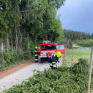 ABD0129-20220818.jpg