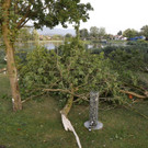 ABD0148-20220818.jpg