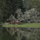 ABD0149-20220818.jpg